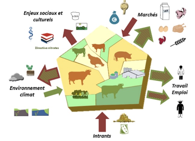 Image en premier plan