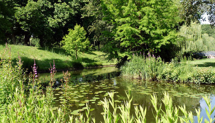 Image en premier plan