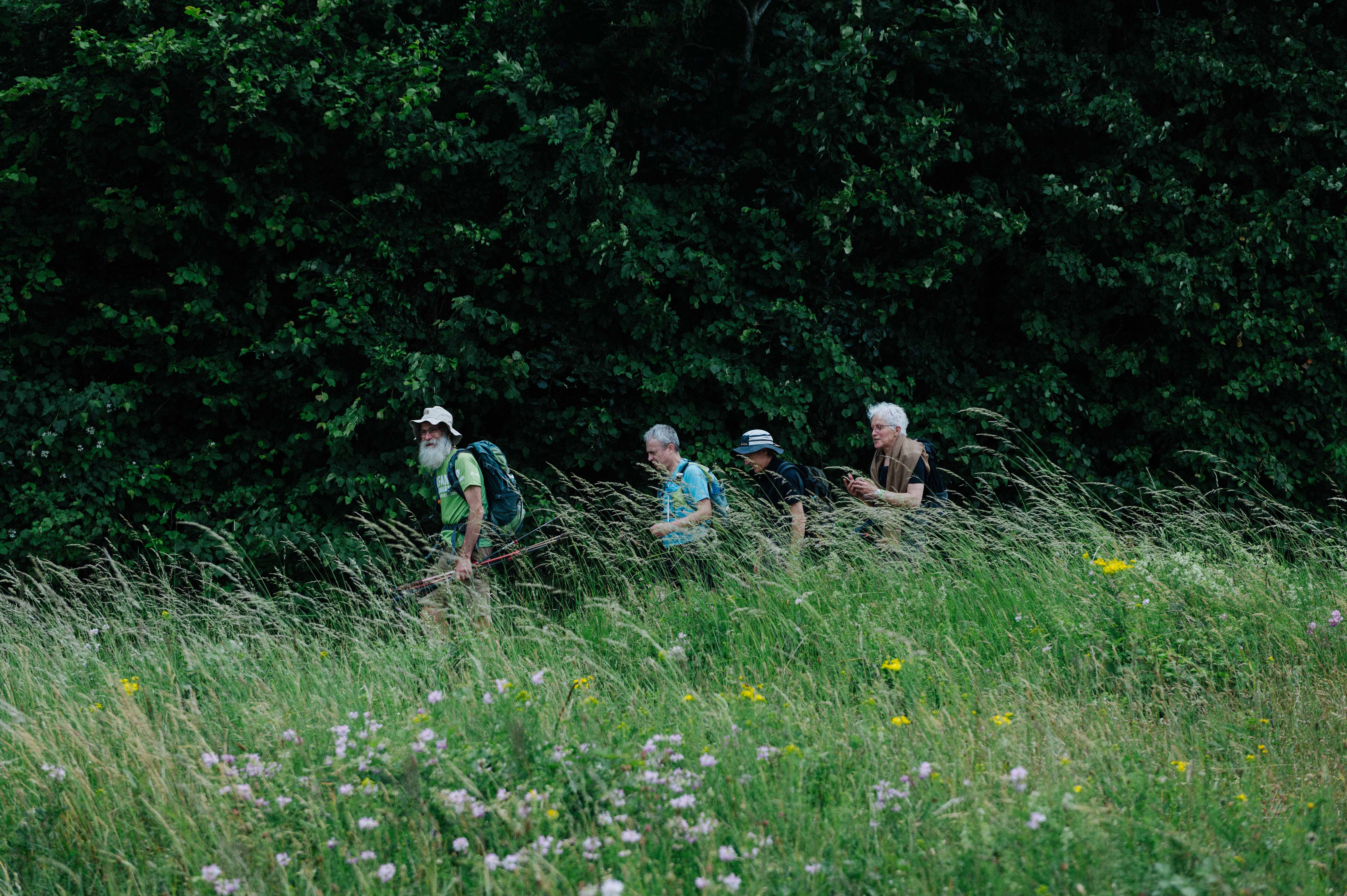 Image en premier plan