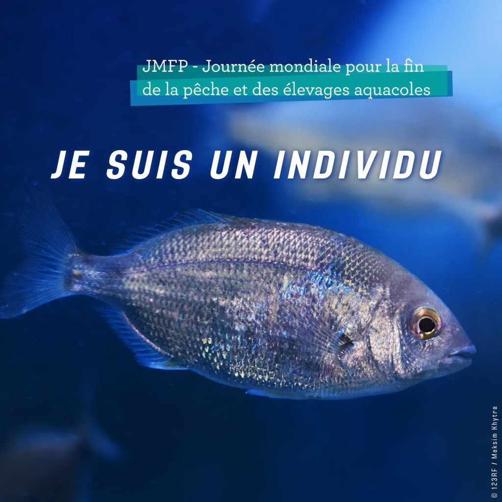 Image en premier plan