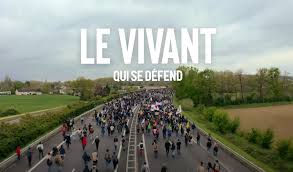 Image en premier plan