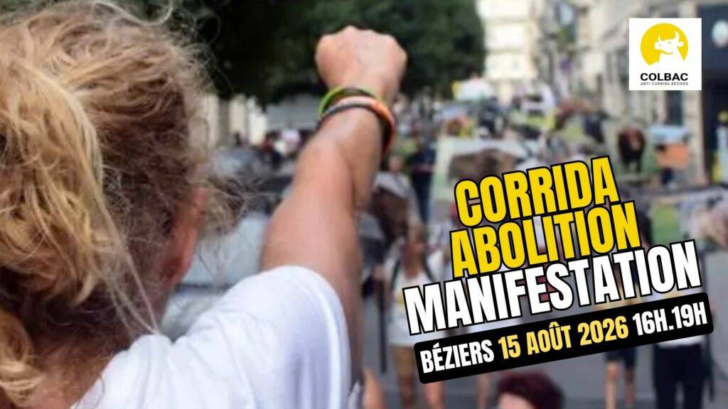 Image en premier plan