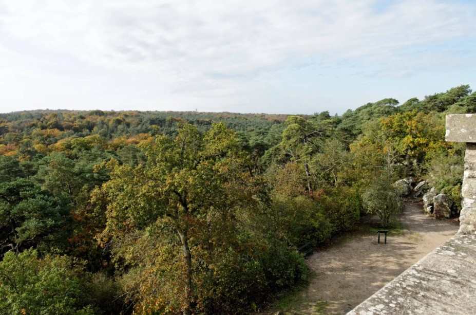 Image en premier plan