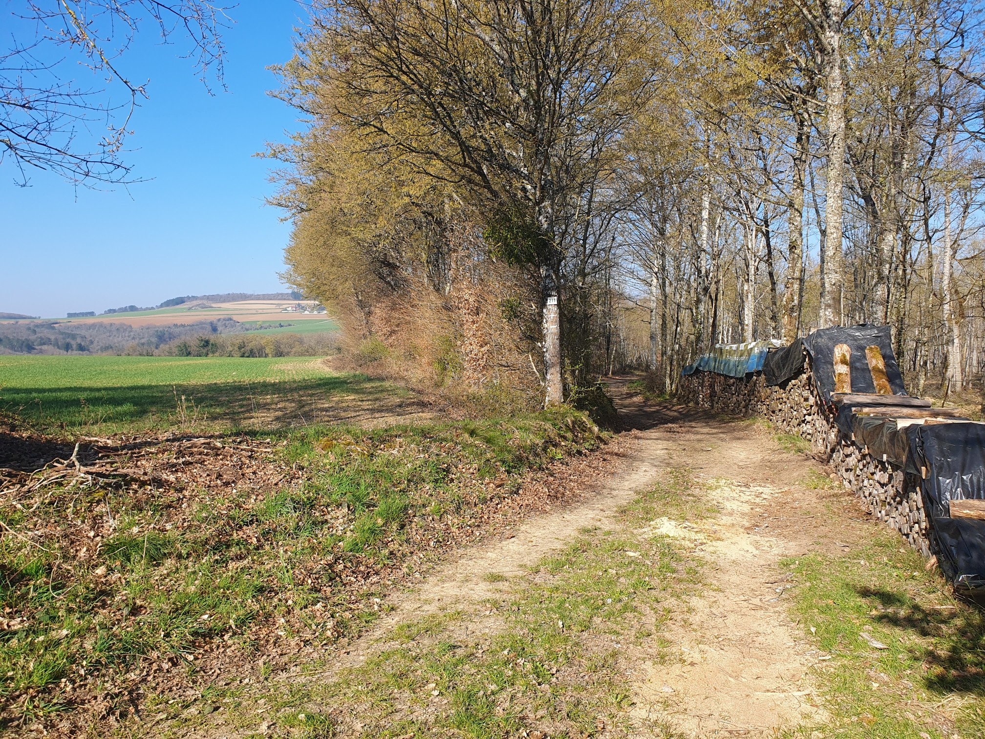 Image en premier plan