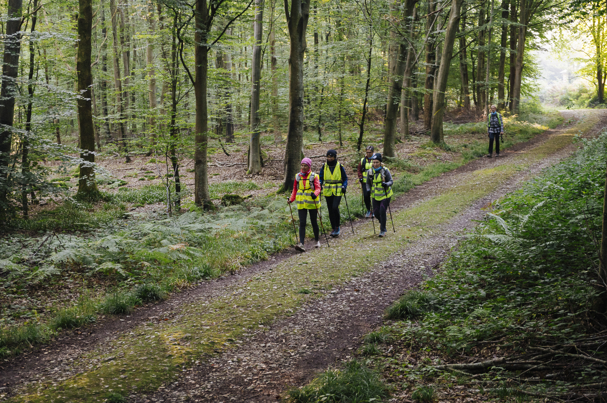 Image en premier plan